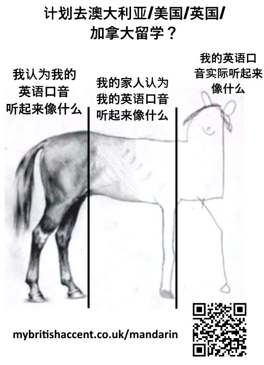 Horse International Chinese Students